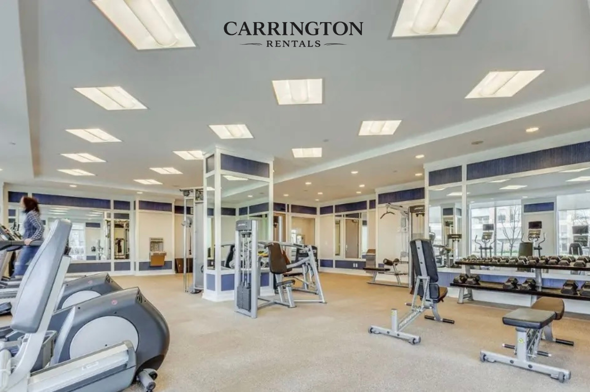 Modern Condo Apartment for Lease in Unionville | 1+1 Bed • 1 Bath