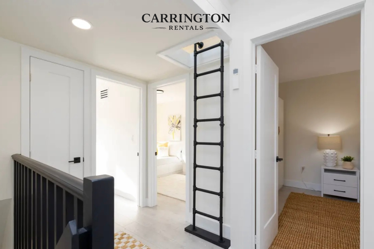Fully Renovated Designer Home in Davisville Village | 3+1 Bed • 3 Bath